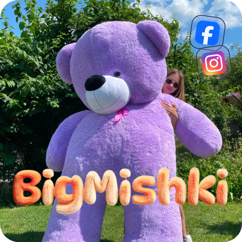 Кейс BIG MISHKI PL